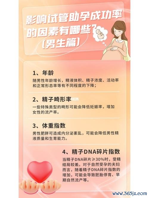云南试管助孕价格揭秘及影响因素分析 云南试管助孕价格揭秘及影响因素分析