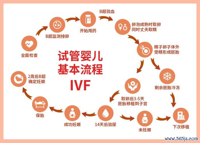 云南试管助孕服务专业平台 云南试管助孕服务专业平台